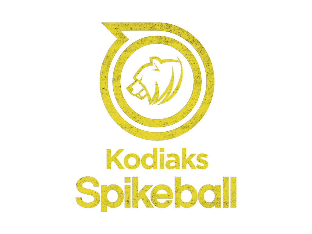 LC-Spikeball-Logo.png