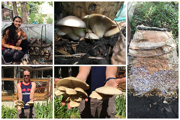 Adriana Navarro Borrell and Chase Morrell are shown with a collage of mushrooms