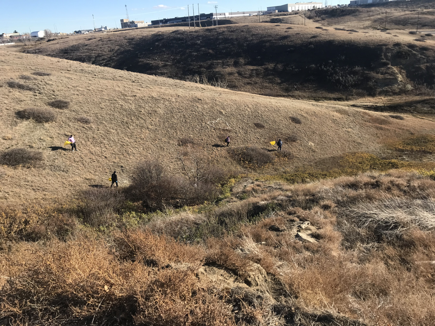 A view of the coulees with litter on the landscape 