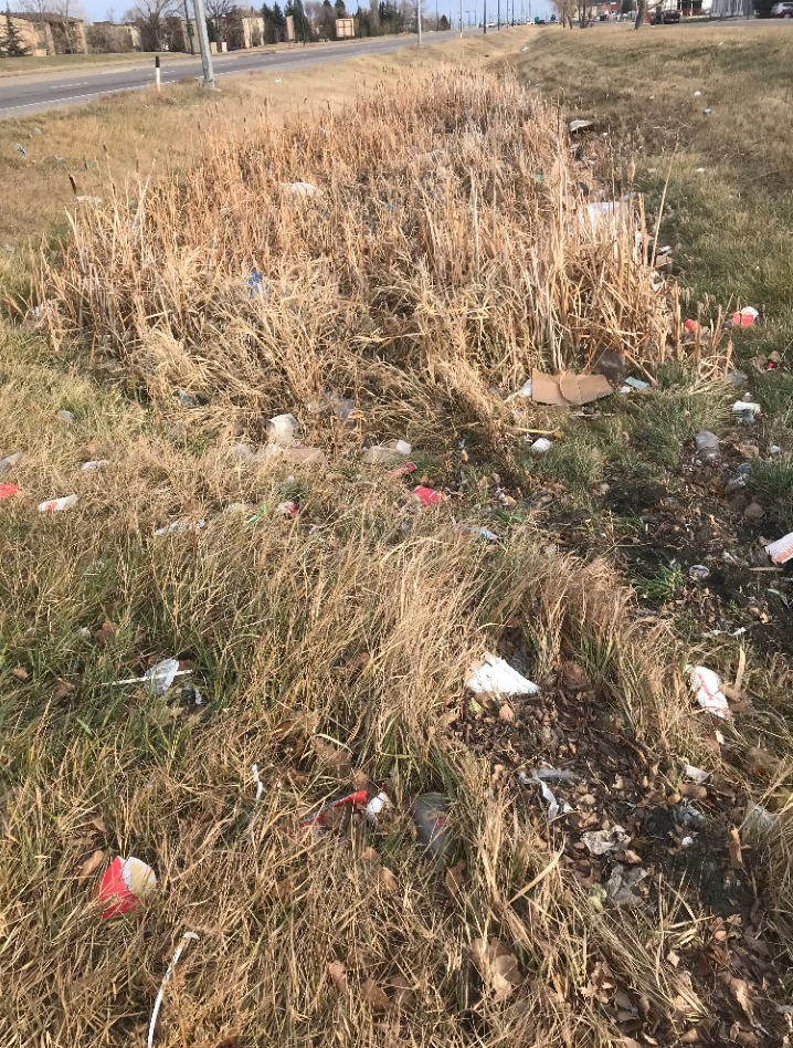 Litter scattered on grass in south Lethbridge.