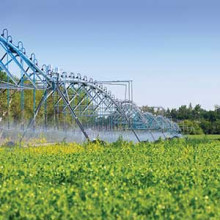 Irrigation in agriculture