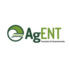 AgENT logo