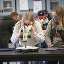 Students take part in a lab as part of the Agriculture Sciences program.