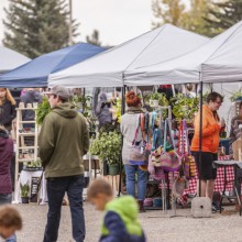 Coulee Fest attendees take in the local marketplace