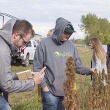 Lethbridge College students visiting the Farming Smarter fields.