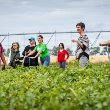 Dr. Willemijn Appels (second from right) working with students in an irrigated field.