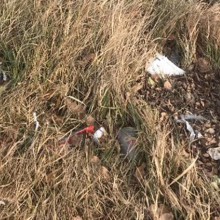 Litter scattered in grass.