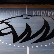 a black bear logo on a blue stained hardwood court