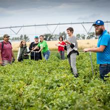 Dr. Willemijn Appels and her team in the field as part of a research partnership with the Potato Growers of Alberta.