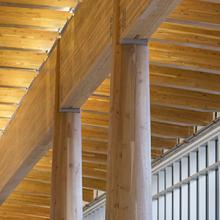 Wood features inside the college's Trades, Technologies and Innovation Facility