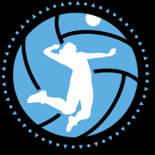 a logo of a blue volleyball with the white silhouette of a volleyball player